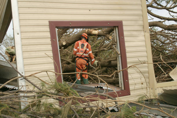  Fairfield, IL Tree Care Services Pros